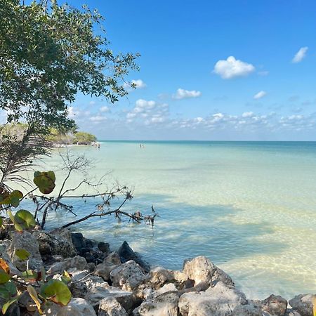 Atenea Holbox Luaran gambar