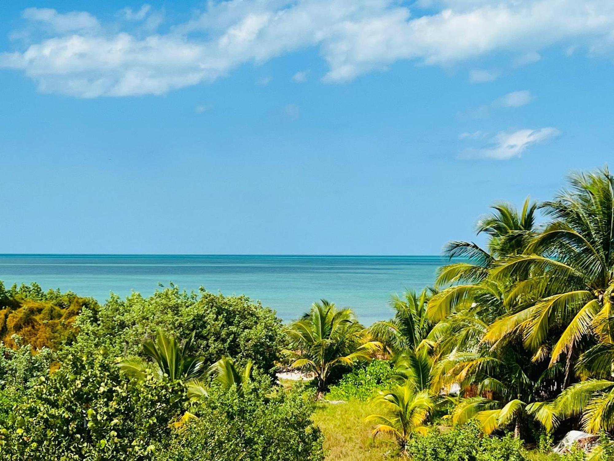 Atenea Holbox Luaran gambar