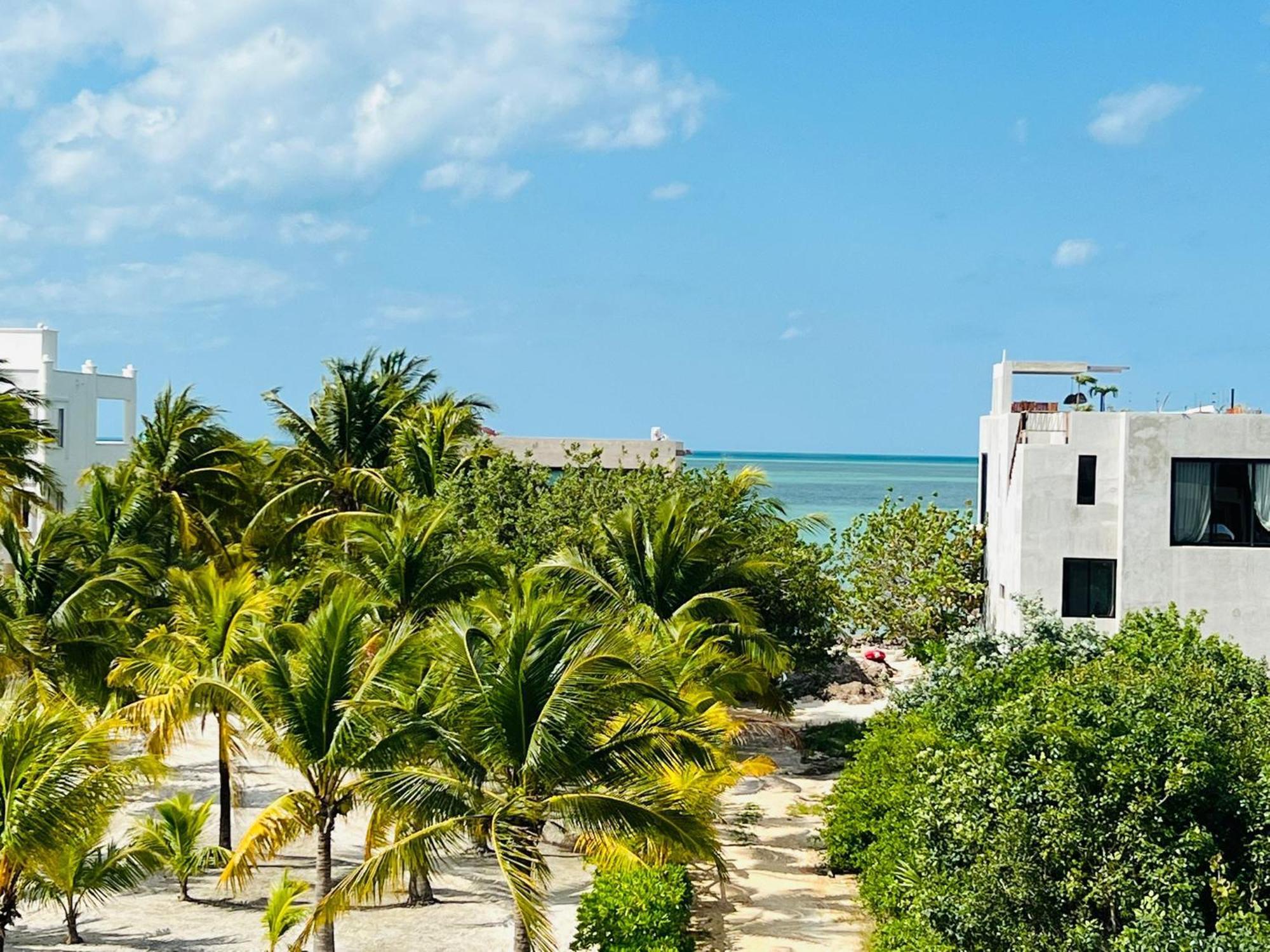Atenea Holbox Luaran gambar