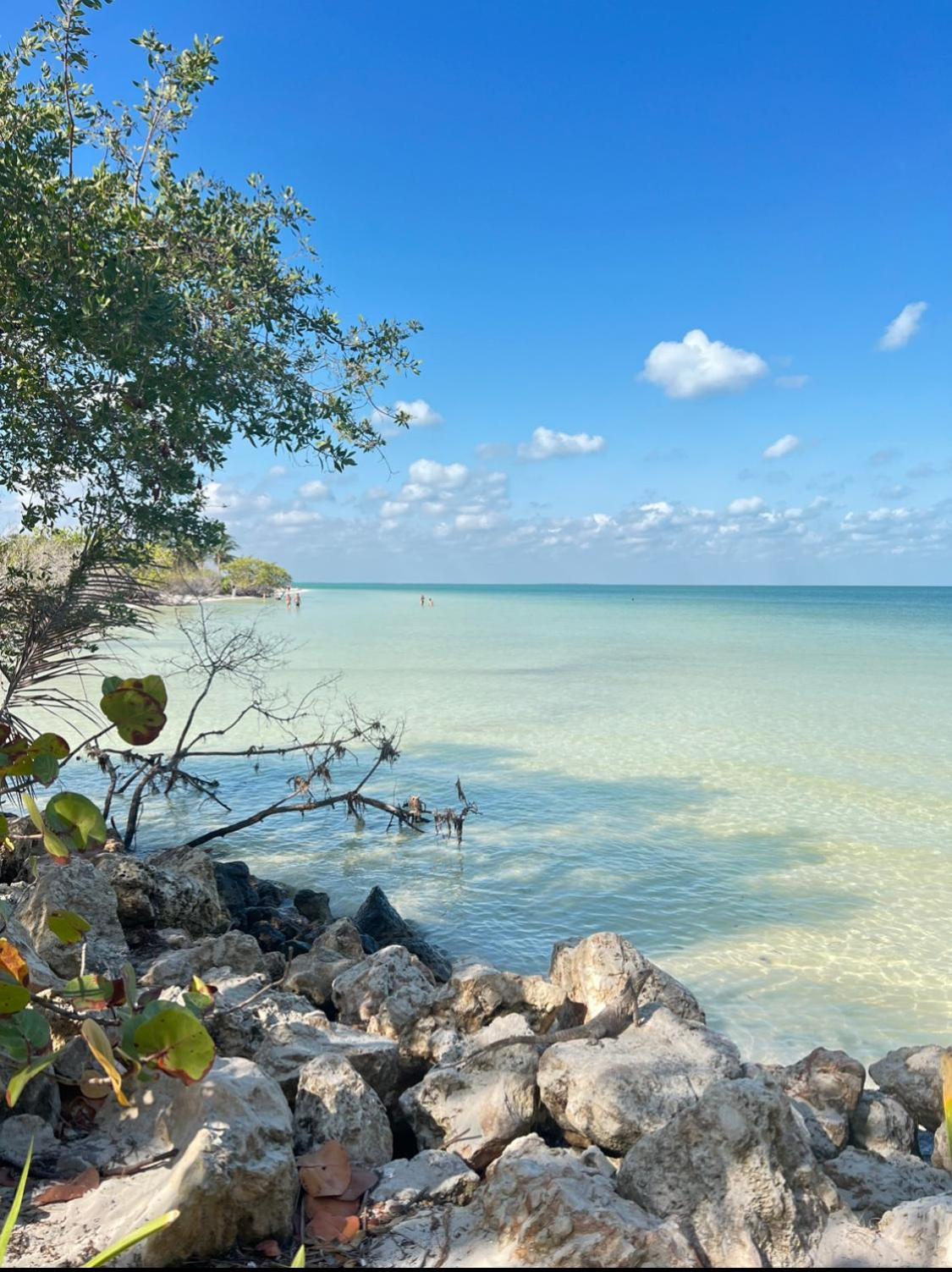 Atenea Holbox Luaran gambar