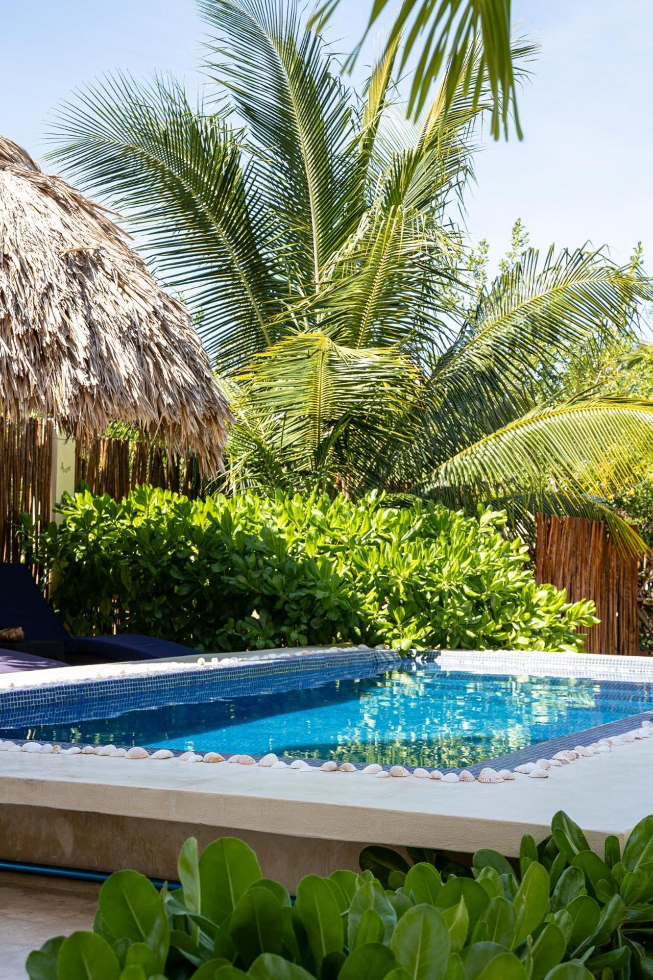 Atenea Holbox Luaran gambar
