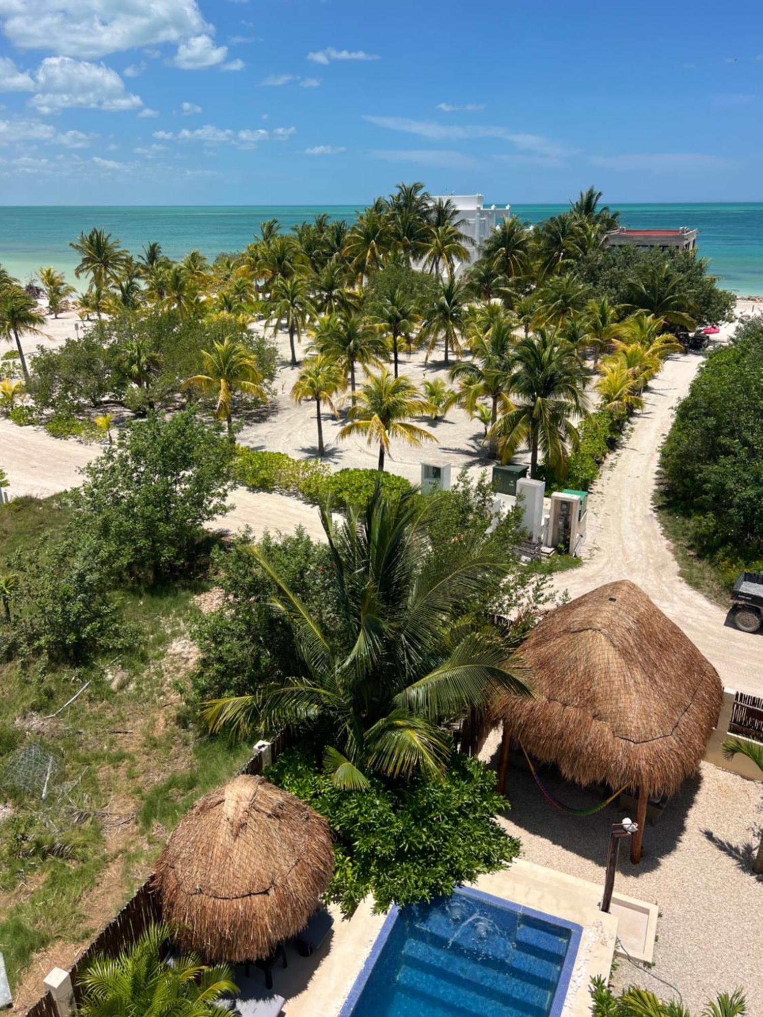 Atenea Holbox Luaran gambar